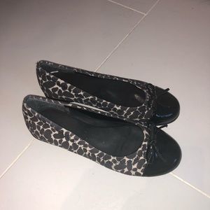 Cheetah flats